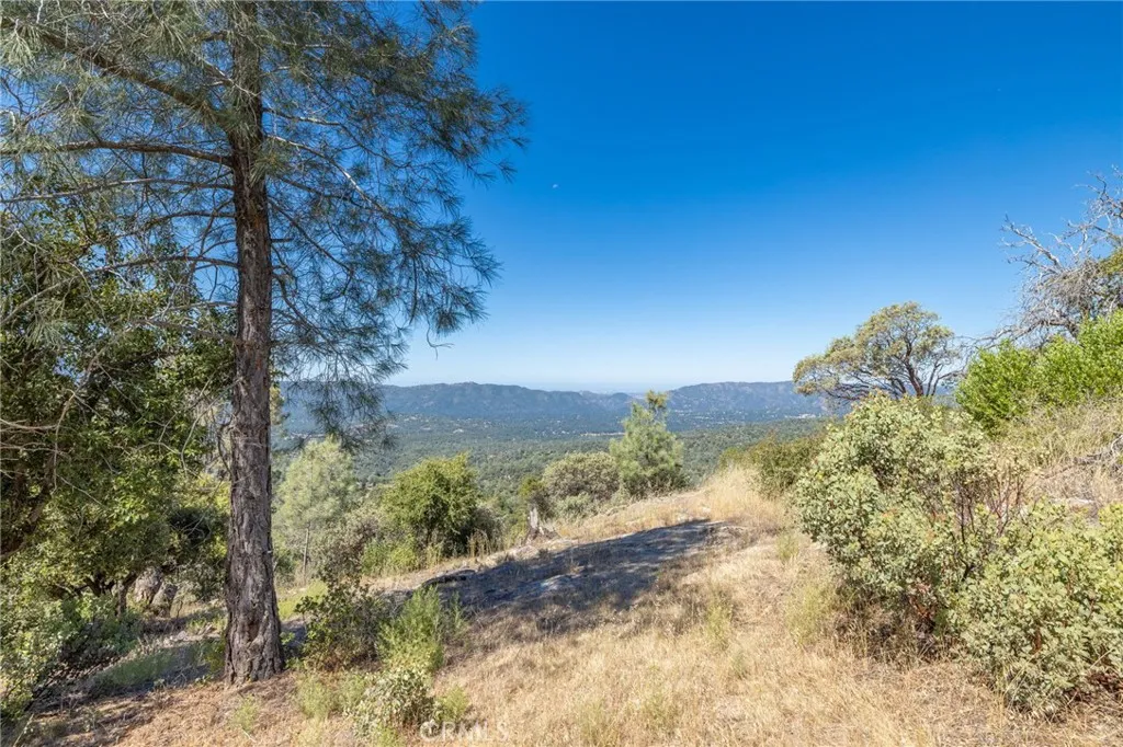 49 Old Yosemite Road Oakhurst, CA 93644 - Photo 10 of 41 Gallery Image 10
