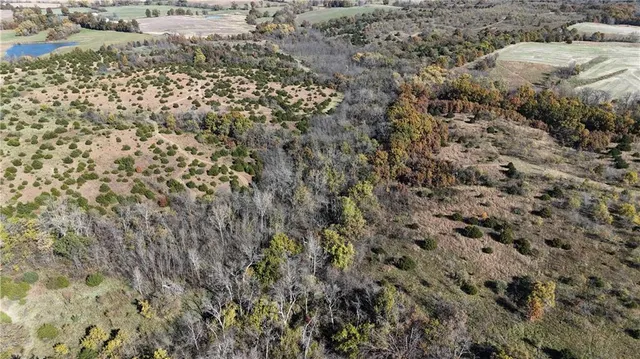 $1,000,000 | Iguana Road, Atlanta, MO 63530