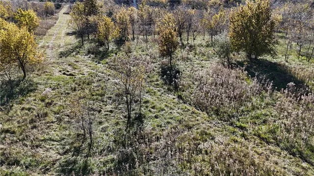 $1,000,000 | Iguana Road, Atlanta, MO 63530