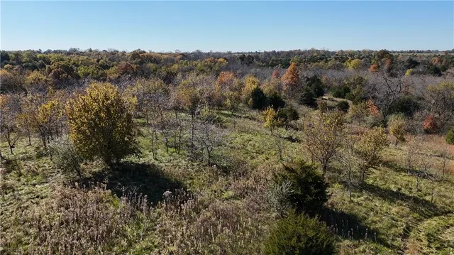 $1,000,000 | Iguana Road, Atlanta, MO 63530