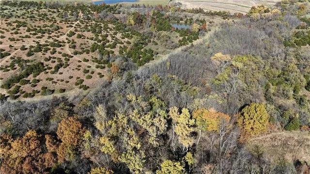 $1,000,000 | Iguana Road, Atlanta, MO 63530