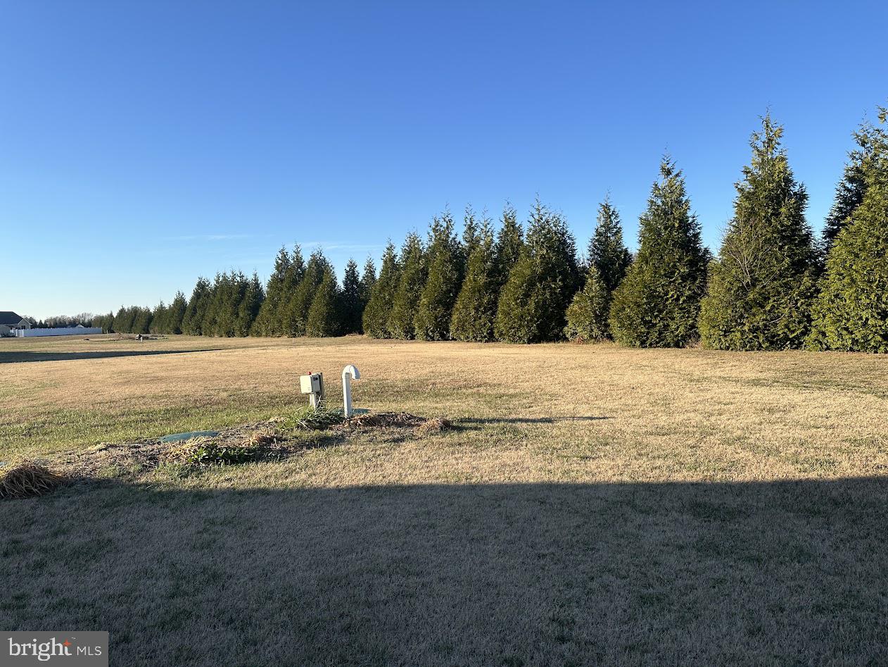 24266 Fox Run Seaford, DE 19973 - Photo 50 of 50 a view of ocean view with beach