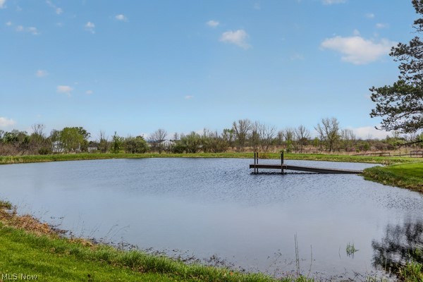 8675 West Smith Road Medina, OH 44256 - Photo 24 of 25 Private pond featuring a wooden dock and lush green surroundings