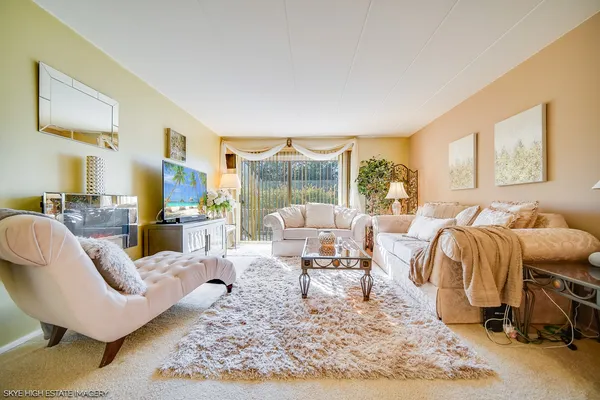 a living room with furniture a rug potted plant and a large window