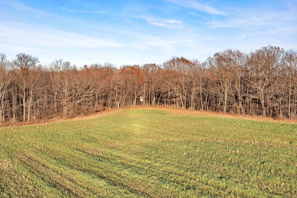 Bayview Road Luxemburg, WI 54217 - Photo 17 of 17