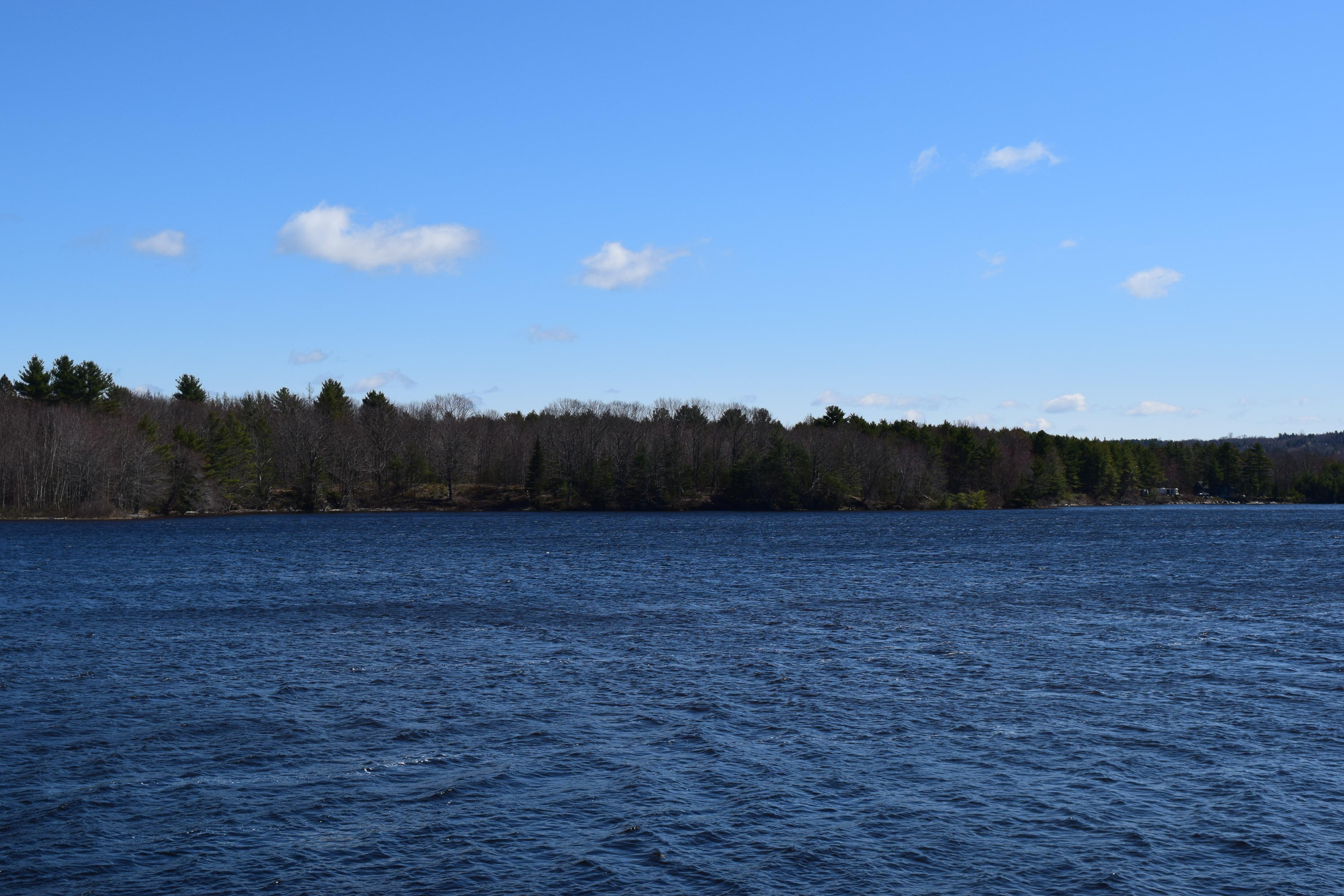 0 Morrison Farm Road Ellsworth, ME 04605 - Photo 6 of 8 DSC_0126