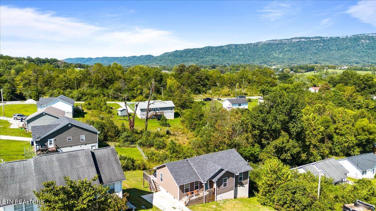 236 Sandy Hill Road La Follette, TN 37766 - Photo 3 of 16 Mountain View