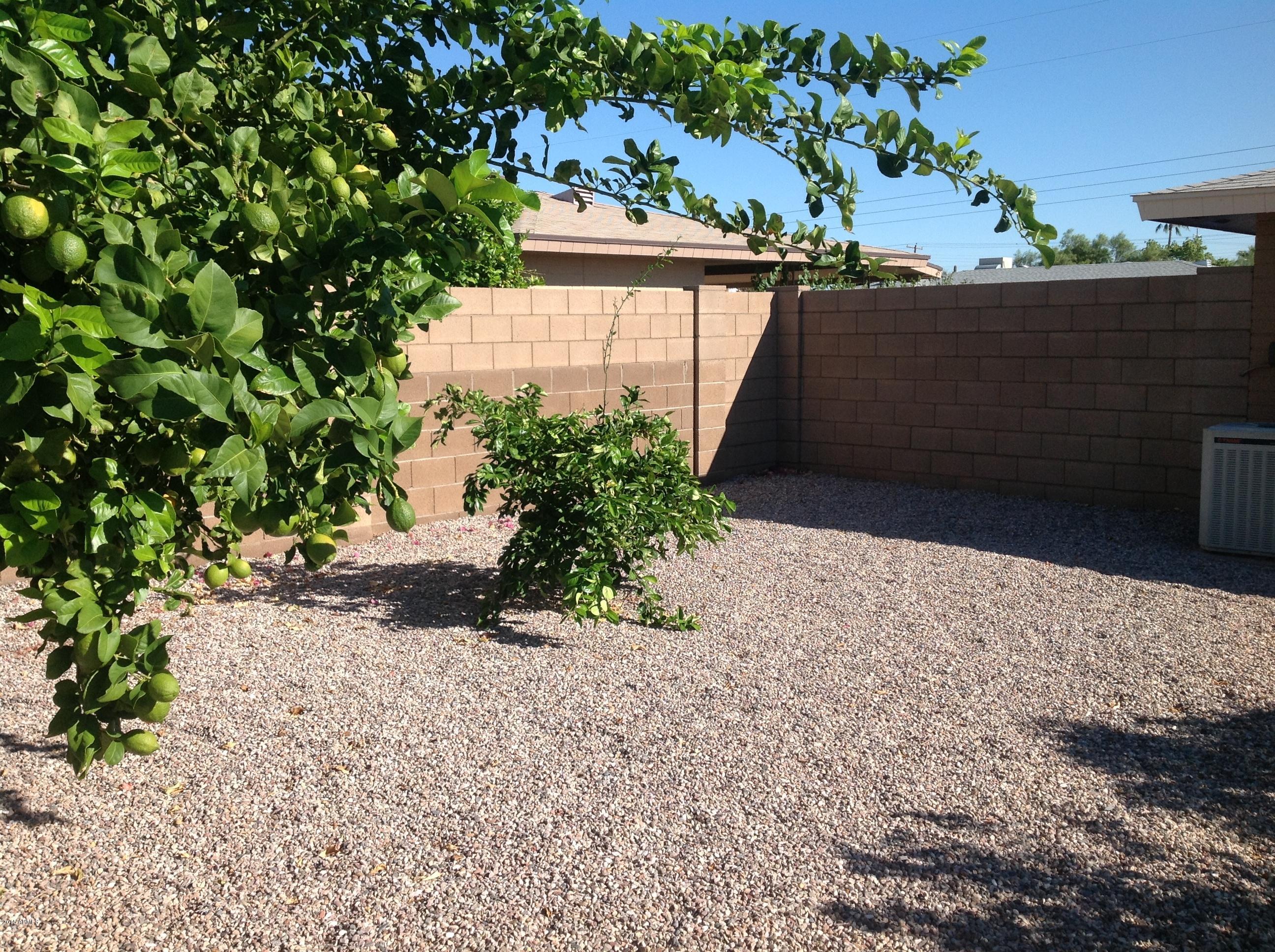 5632 East Decatur Street Mesa, AZ 85205 - Photo 18 of 20 Backyard 3