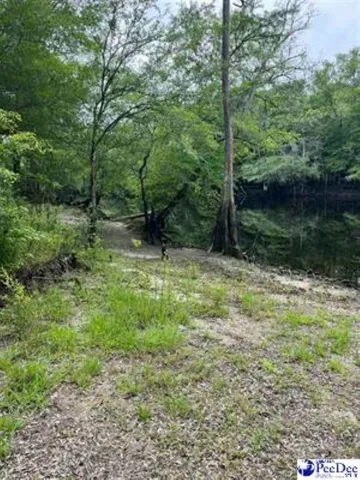 $350,000 | Tbd McFarlin Street, Kingstree, SC 29556