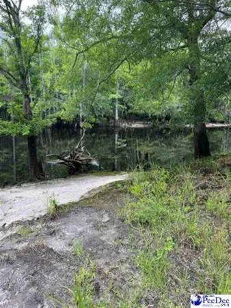 $350,000 | Tbd McFarlin Street, Kingstree, SC 29556