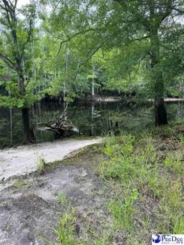 $350,000 | Tbd McFarlin Street, Kingstree, SC 29556