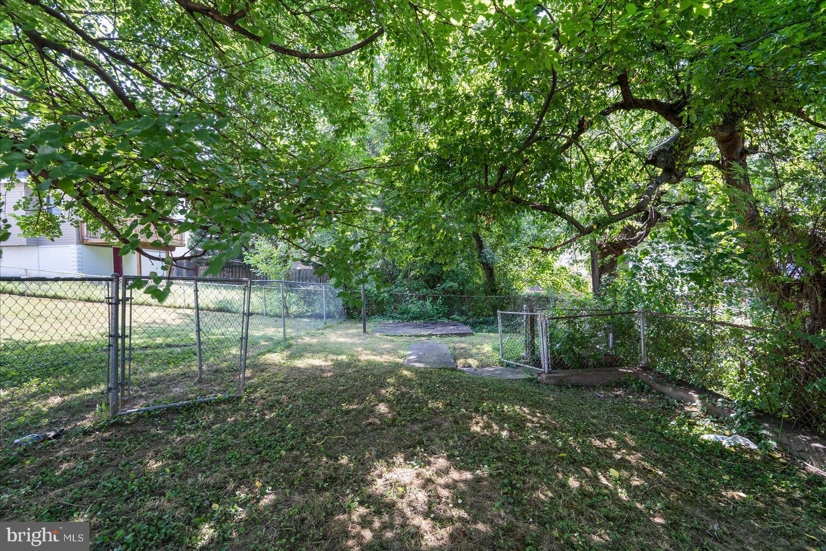 4209 Moravia Road Baltimore, MD 21206 - Photo 6 of 33 Rear Yard
