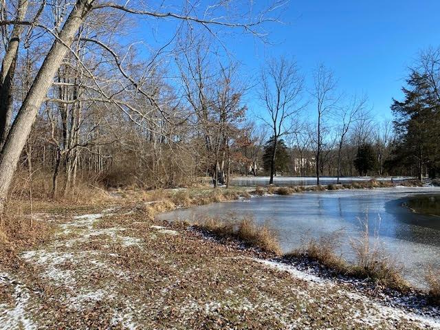 3.7-acres West Foster-Maineville Road Maineville, OH 45039 - Photo 2 of 8