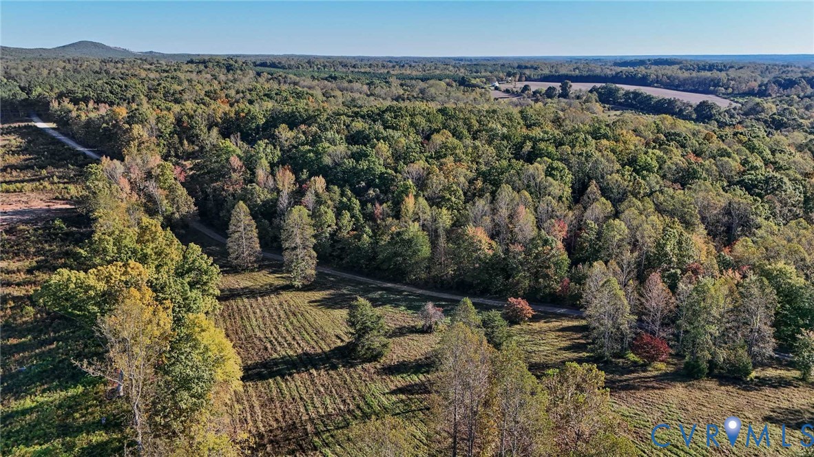 0 Allen Rosen Road Dillwyn, VA 23936 - Photo 5 of 18 Gallery Image 5