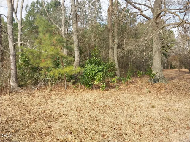 a view of a yard with plants and trees