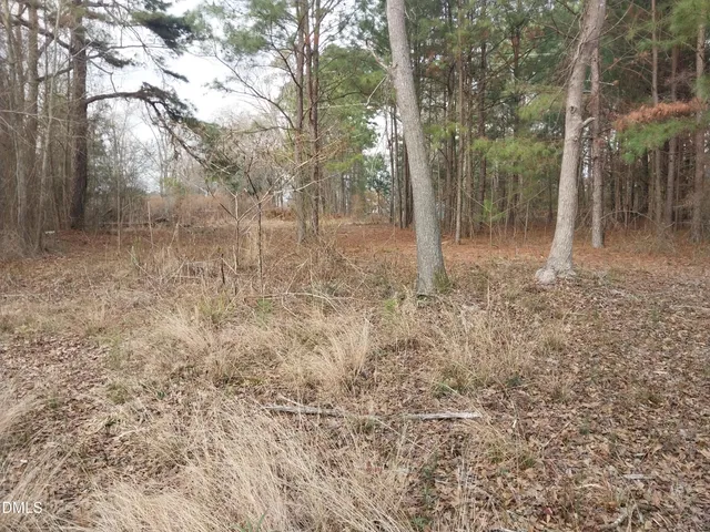 a view of a dry yard with trees