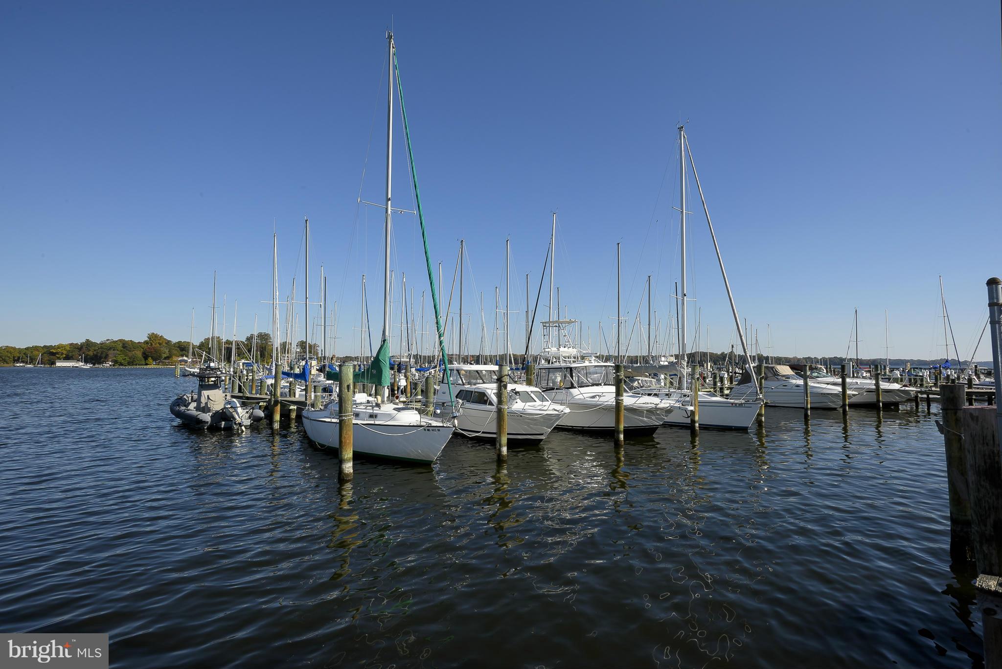 787 Brackley Road Severna Park, MD 21146 - Photo 30 of 30 Community