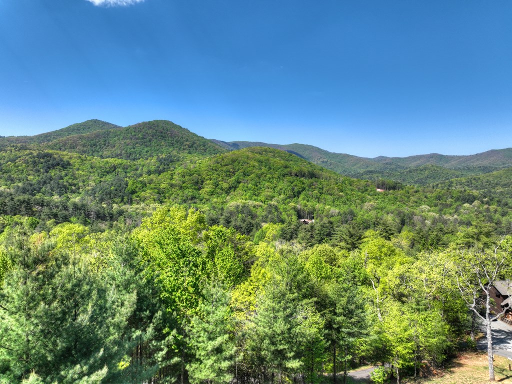 459 Quail Ridge Road Epworth, GA 30541 - Photo 28 of 73 a view of a mountain range with lush green forest