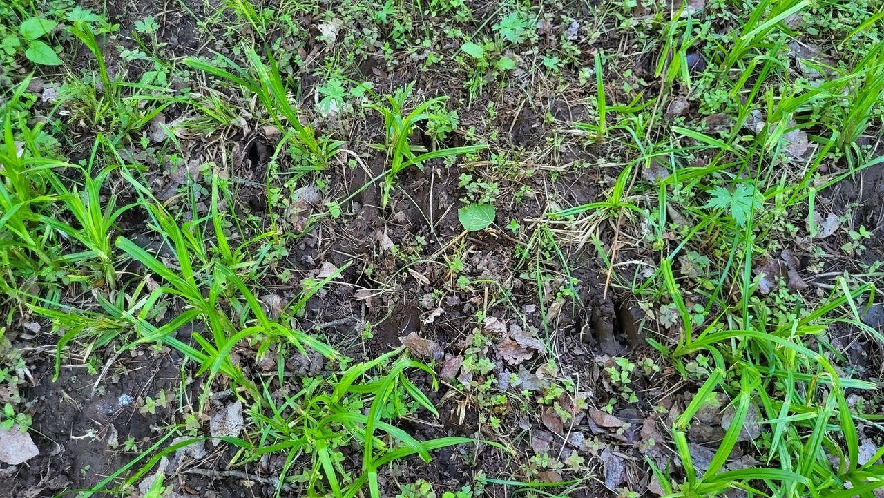 181320 North 2nd Sand Beach Road Lanse, MI 49946 - Photo 66 of 74 1923630-23ec382e-5bfb-43c8-b5e9-c92b17eda268.JPG