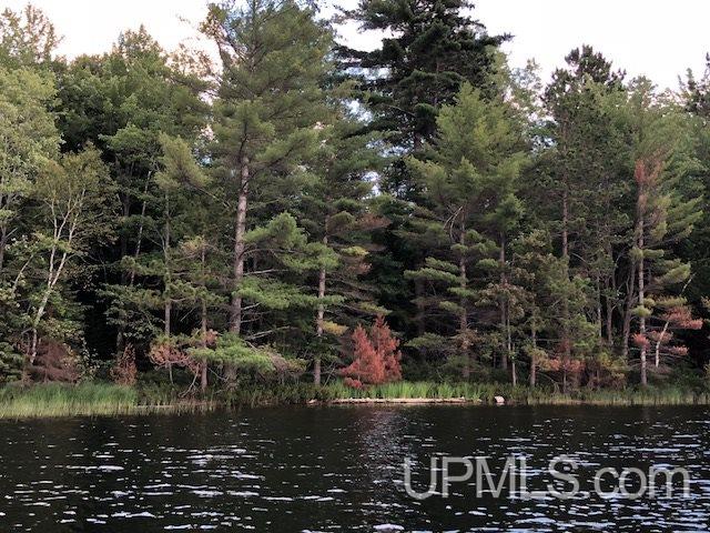 Tbd Mahskeekee Lake 33rd (co Rd 442) Road Wetmore, MI 49895 - Photo 1 of 5