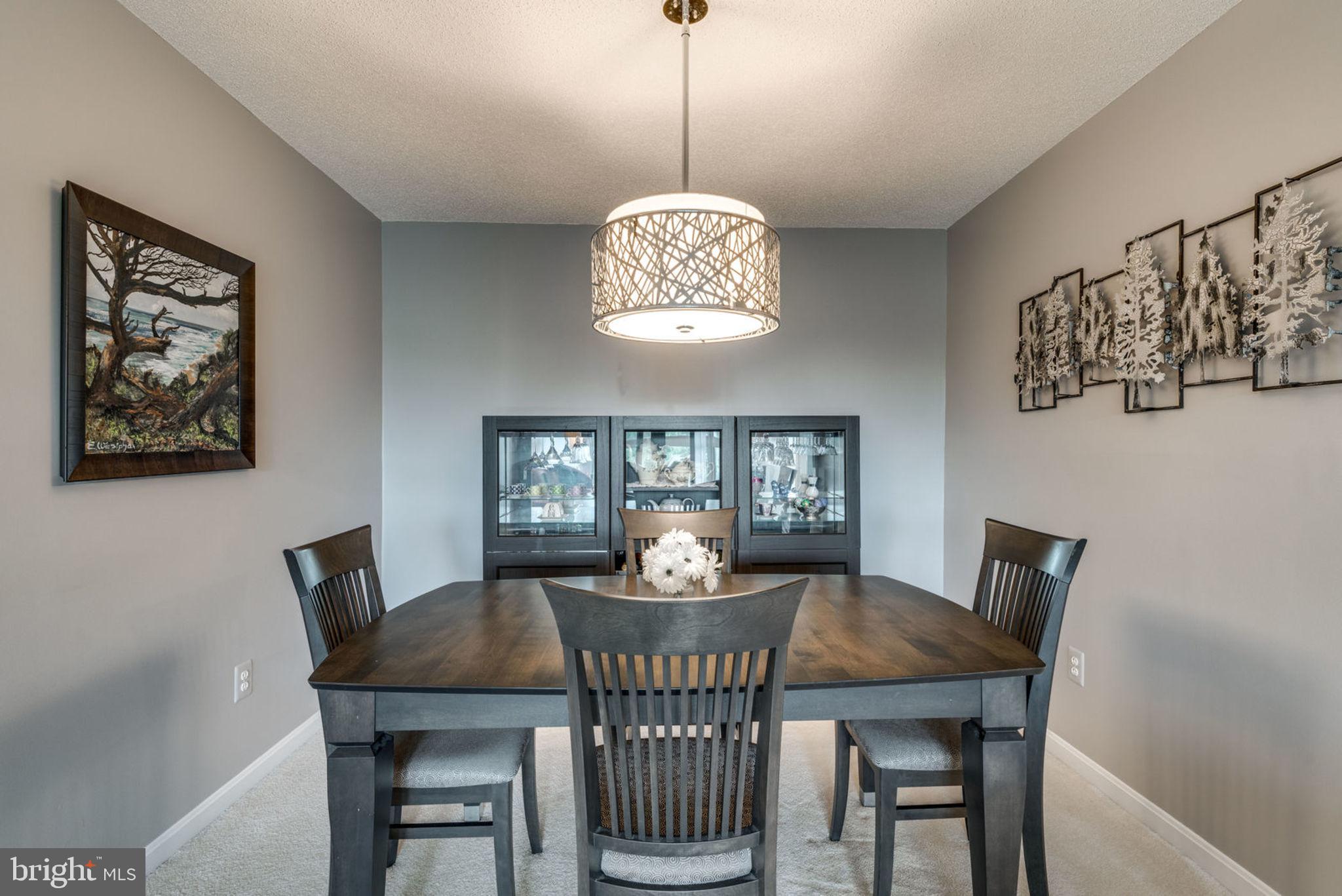 19385 Cypress Ridge Terrace, Unit 721 Leesburg, VA 20176 - Photo 15 of 26 Updated lighting in the dining area