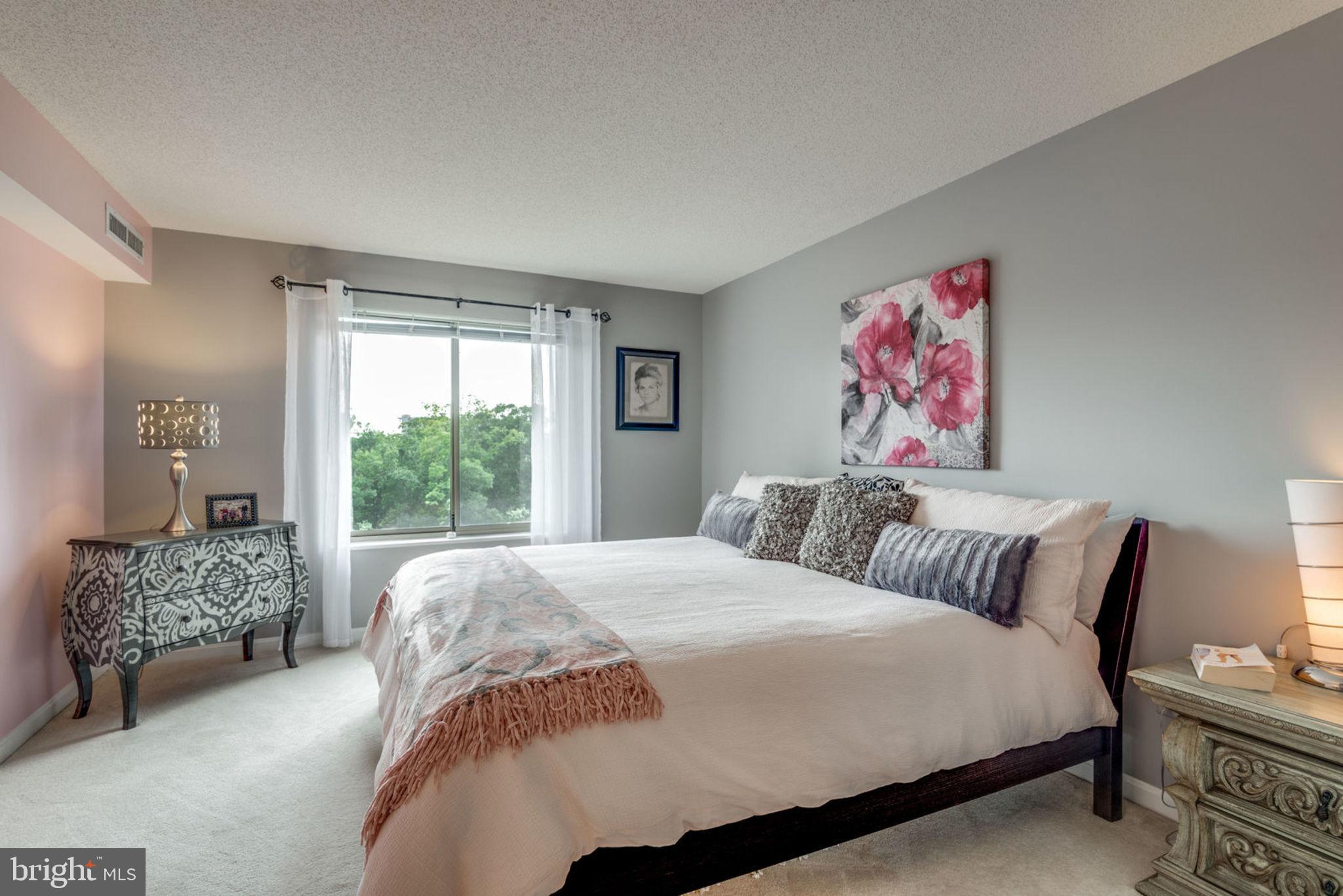 19385 Cypress Ridge Terrace, Unit 721 Leesburg, VA 20176 - Photo 4 of 26 Master suite with neutral finishes