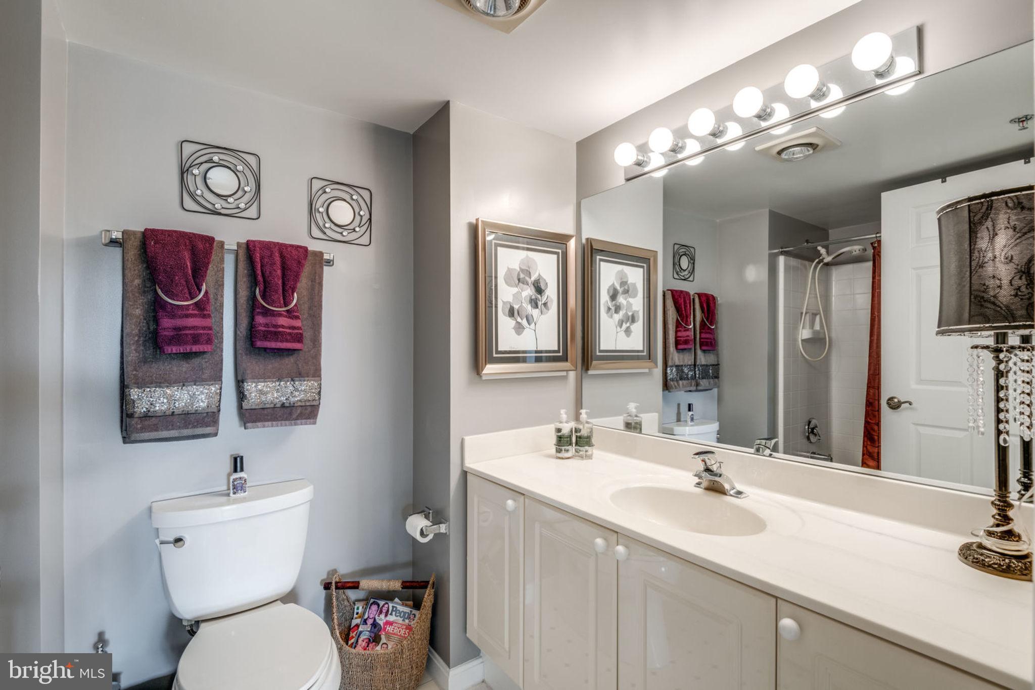 19385 Cypress Ridge Terrace, Unit 721 Leesburg, VA 20176 - Photo 5 of 26 Master bath has great counter space