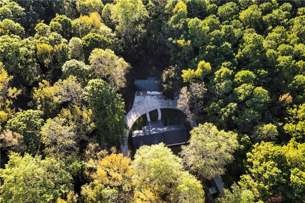 1149 Criswell Road Southeast Monroe, GA 30655 - Photo 57 of 60 a view of a bunch of flowers and tree