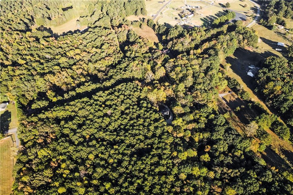 1149 Criswell Road Southeast Monroe, GA 30655 - Photo 60 of 60