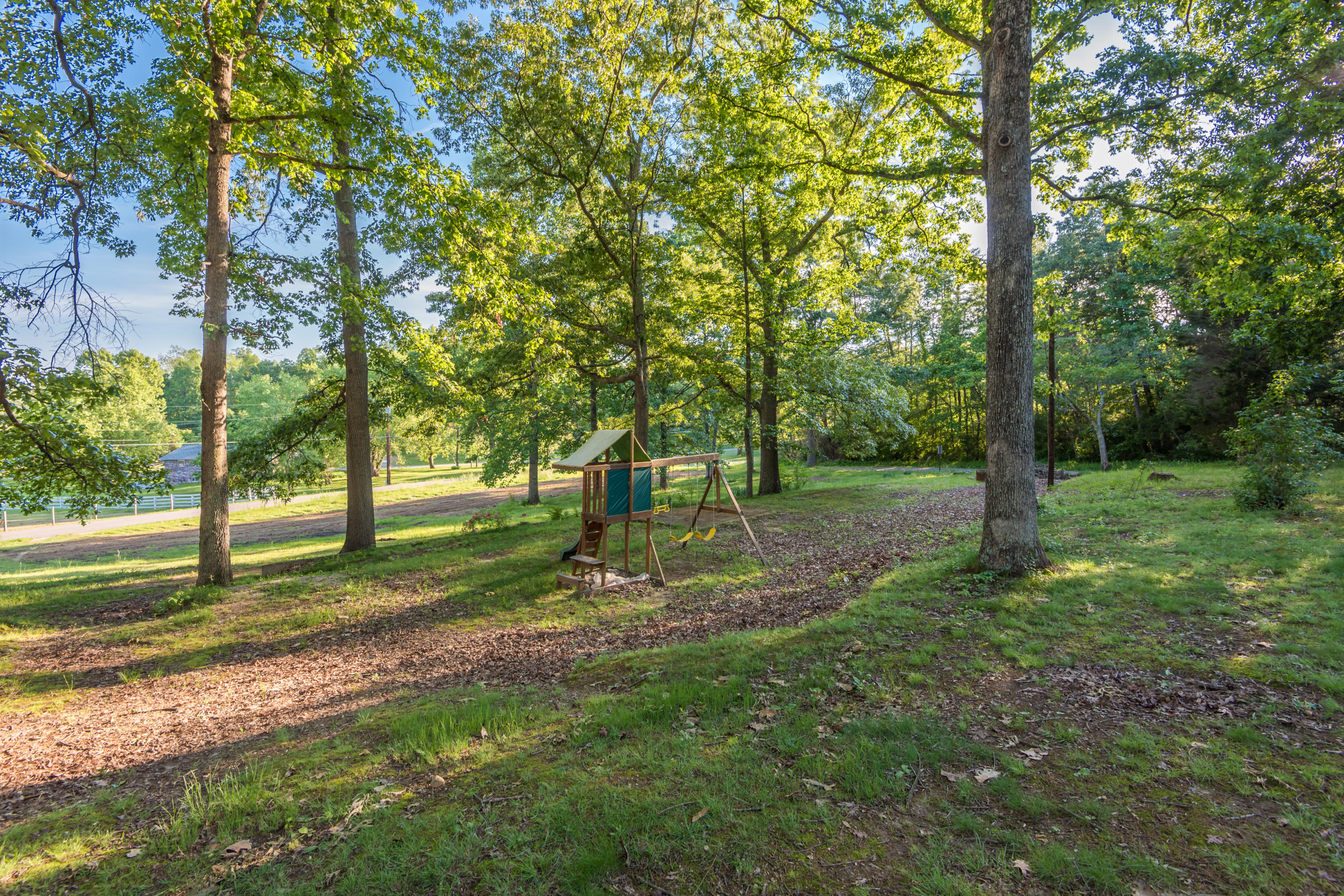 215 High Point Orchard Road Kingston, TN 37763 - Photo 23 of 25 Front yard