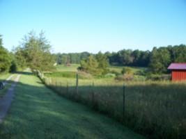 659 Allen Bend Road Smithville, TN 37166 - Photo 3 of 22 Gallery Image 3