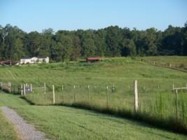 659 Allen Bend Road Smithville, TN 37166 - Photo 4 of 22 Gallery Image 4