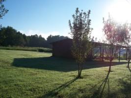 659 Allen Bend Road Smithville, TN 37166 - Photo 5 of 22 Gallery Image 5
