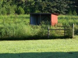 659 Allen Bend Road Smithville, TN 37166 - Photo 7 of 22 Gallery Image 7