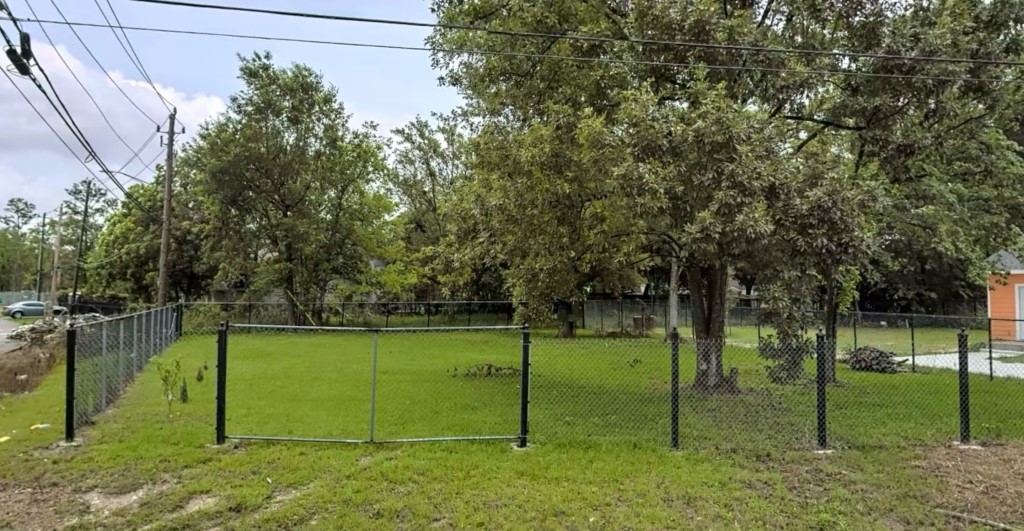 a view of a park with large trees