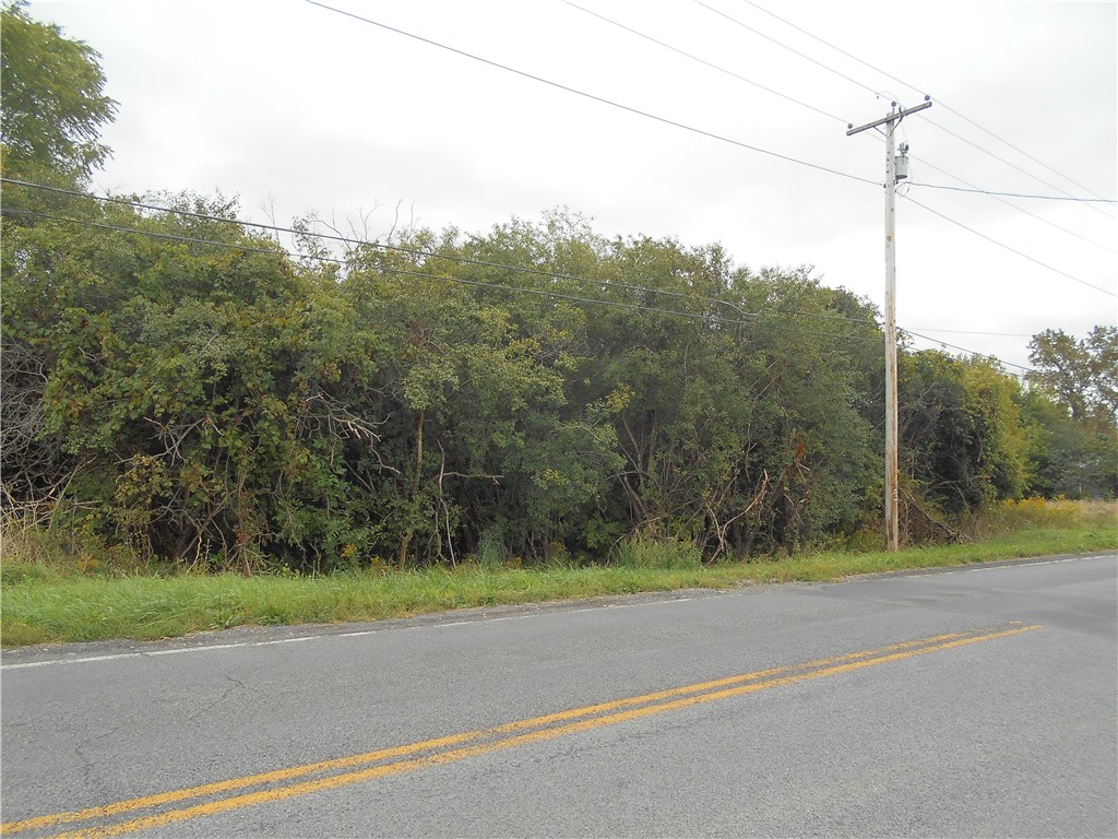 0 Division Street Road Auburn, NY 13021 - Photo 4 of 4 Gallery Image 4