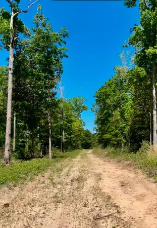 $104,465 | 0 FM 1005, Jasper, TX 75951