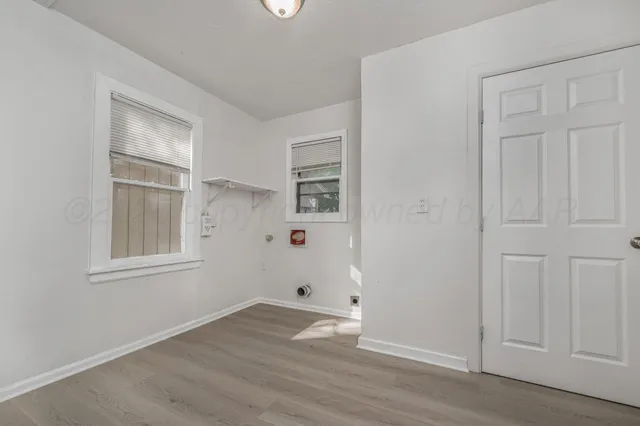 a view of a yard with plants and trees