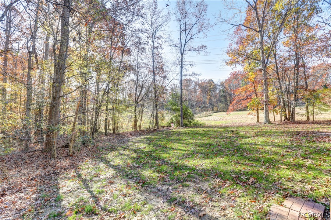 13601 Queensgate Road Midlothian, VA 23114 - Photo 39 of 39 a view of a yard with a tree
