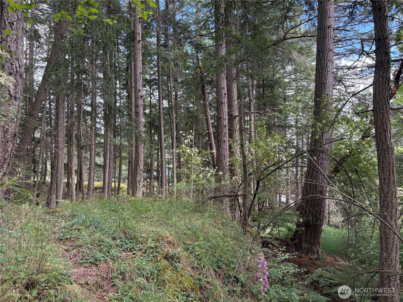 14 Rosario Road Orcas Island, WA 98245 - Photo 19 of 39
