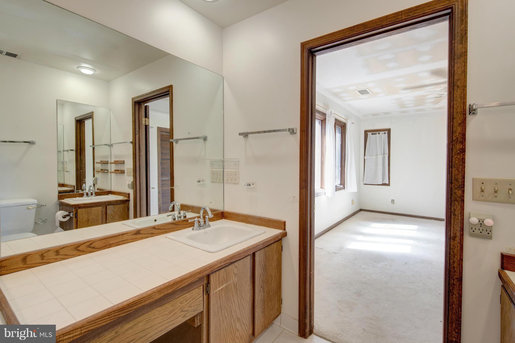 229 Birch Run Road Chestertown, MD 21620 - Photo 18 of 22 a bathroom with a sink and a mirror