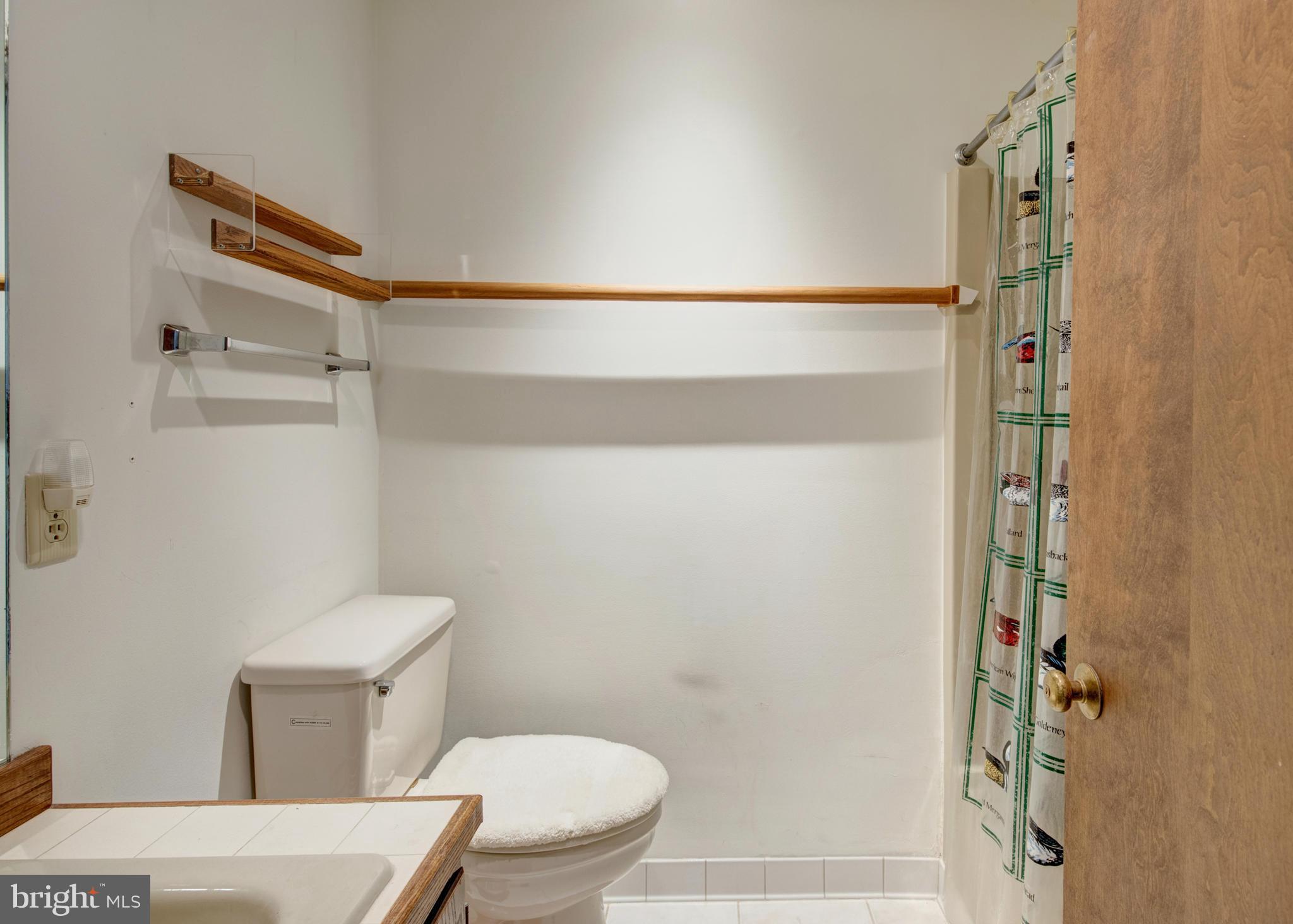 229 Birch Run Road Chestertown, MD 21620 - Photo 19 of 22 a bathroom with a toilet and a shower