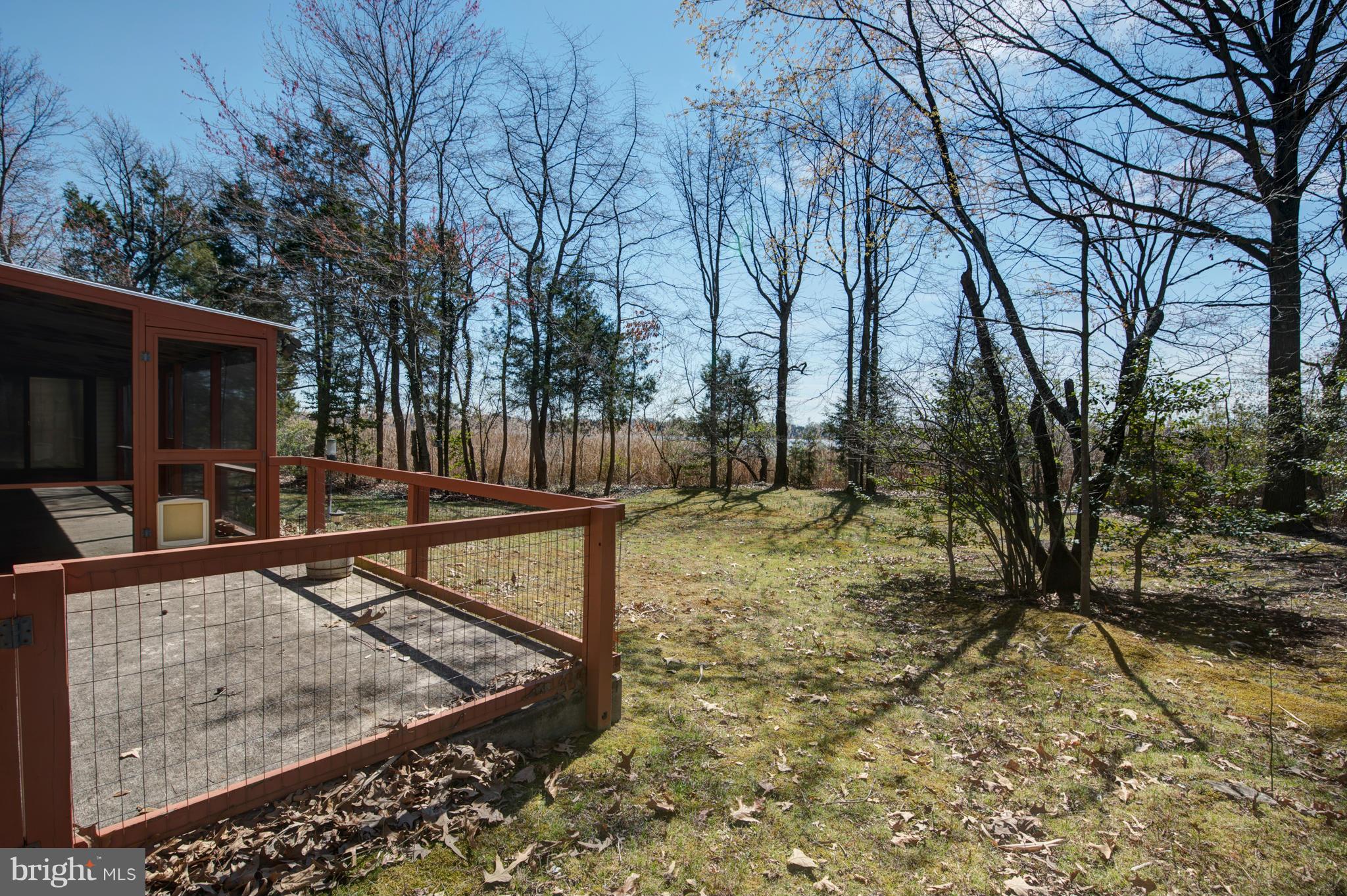 229 Birch Run Road Chestertown, MD 21620 - Photo 4 of 22 a view of a backyard with large tree