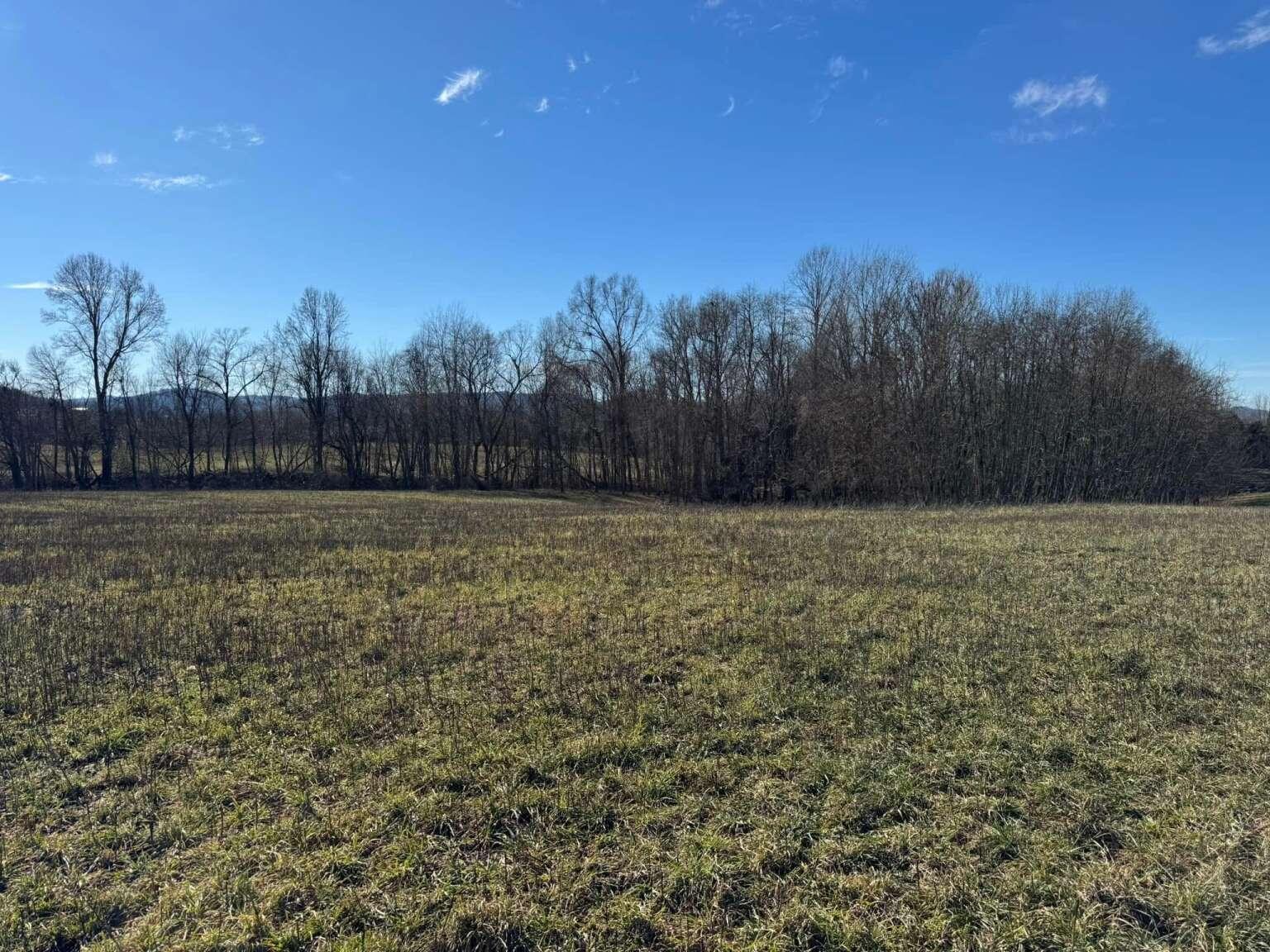 1234 Simpson Branch Road Monticello, KY 42633 - Photo 8 of 11 Purvis.8