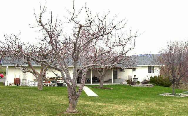 341 Elliott Road Cowiche, WA 98923 - Photo 2 of 2 a front view of a house with a garden and trees