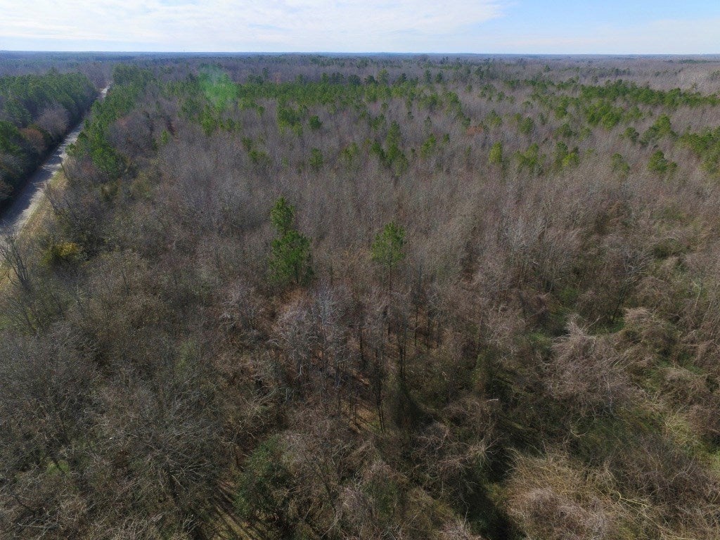 0 Taylor Ferry Road Boydton, VA 23917 - Photo 24 of 36 Gallery Image 24
