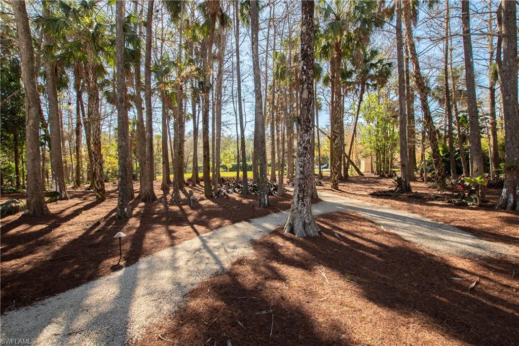 2240 16th Avenue Southwest Naples, FL 34117 - Photo 39 of 49 Shell Walkway through Cypress Trees to Backyard