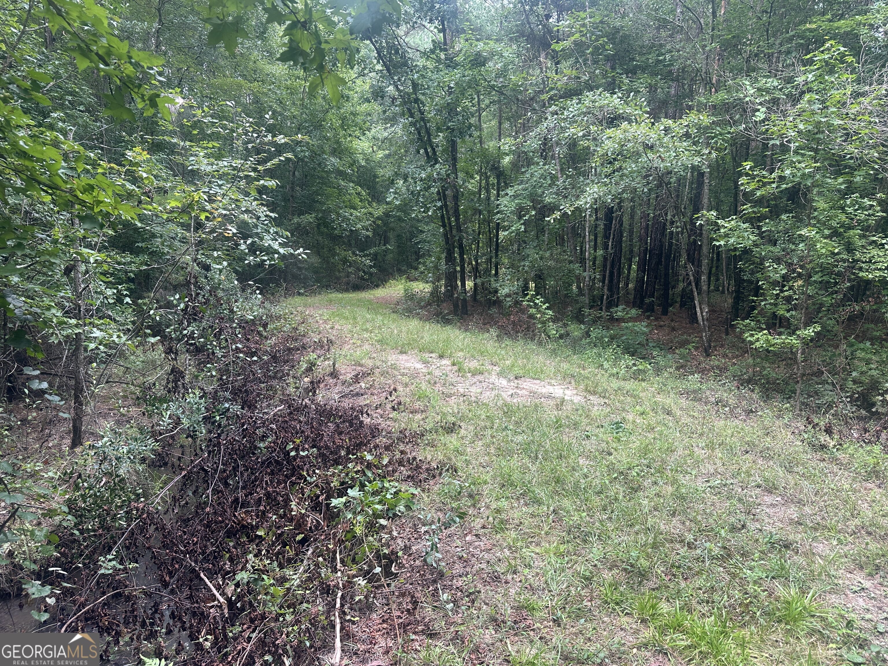 3693 Joyner-Oglesby Road Sardis, GA 30456 - Photo 27 of 32 Gallery Image 27