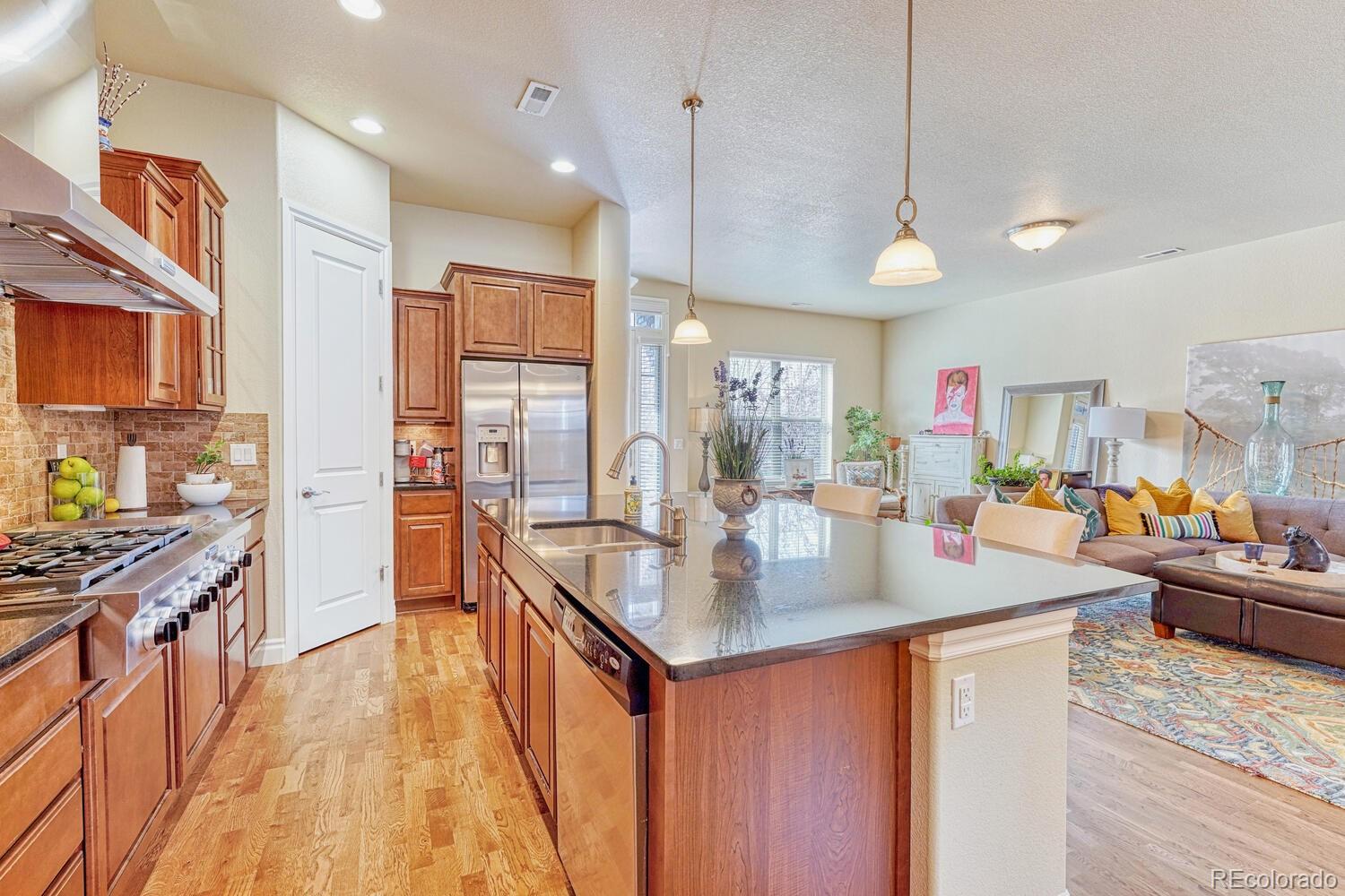 10120 RidgeGate Circle Lone Tree, CO 80124 - Photo 10 of 25 a kitchen with stainless steel appliances granite countertop a sink a stove and a wooden floors