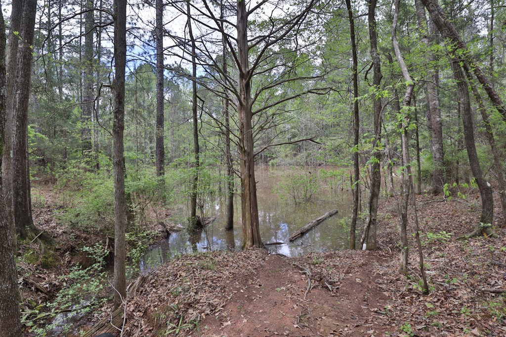 468 Valley Rescue Mission Road Hamilton, GA 31811 - Photo 29 of 29 Property includes edge of lake